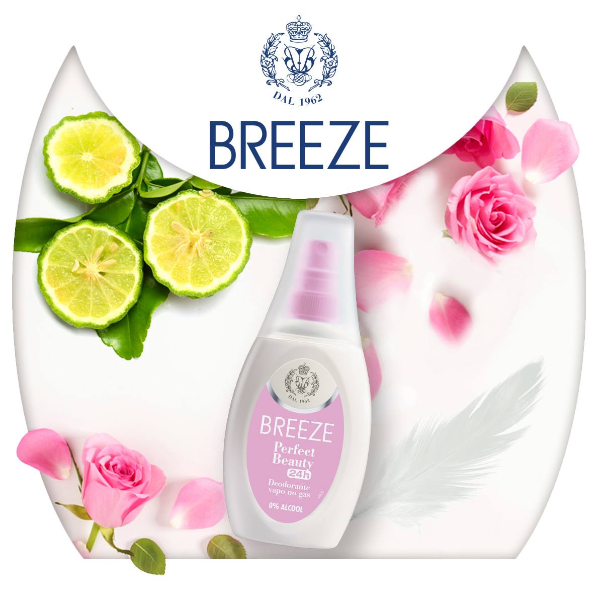 Xịt khử mùi nữ hương nước hoa Vapo Deodorant Breeze Perfect Beauty 75ml - Just Đẹp