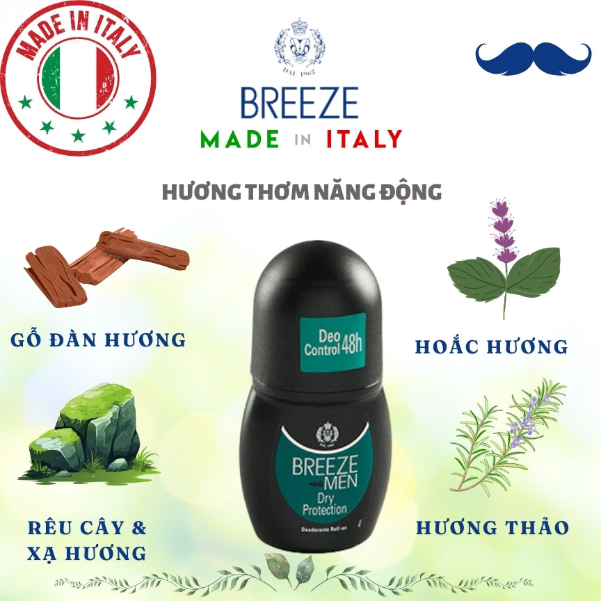 Lăn khử mùi nam hương nước hoa Roll On Breeze Men Dry Protection 50ml