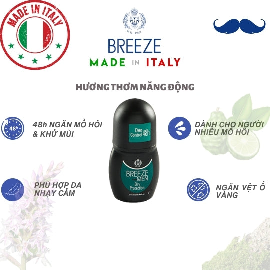 Lăn khử mùi nam hương nước hoa Roll On Breeze Men Dry Protection 50ml